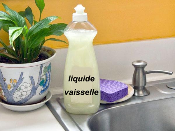 Liquide vaisselle fait maison avec Thermomix
