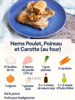 Nems Poulet Poireau et Carotte
